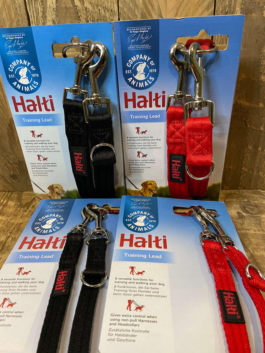 Halti training lead outlet large